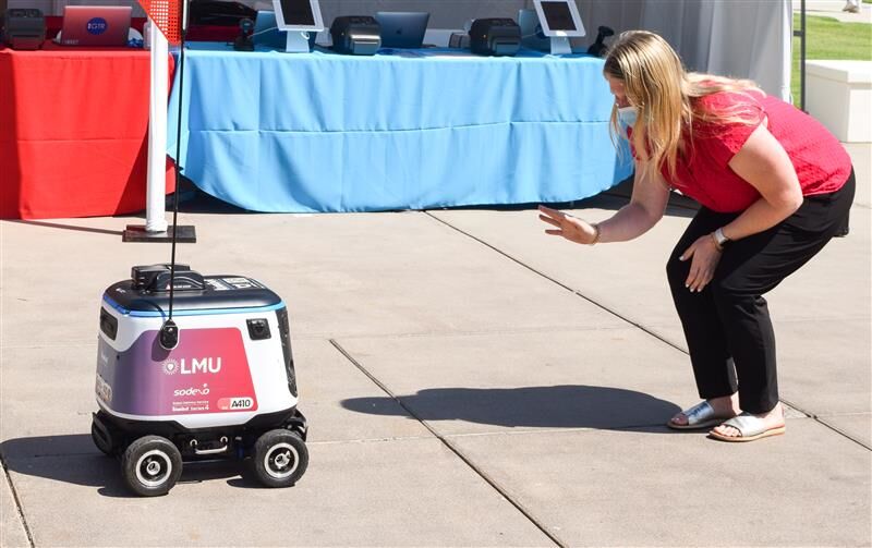 kiwibot